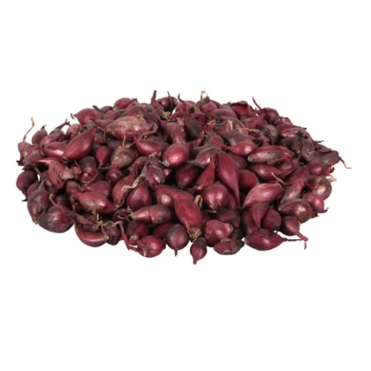 Cibule sazečka Romy - Allium cepa - prodej cibulek - 250 g