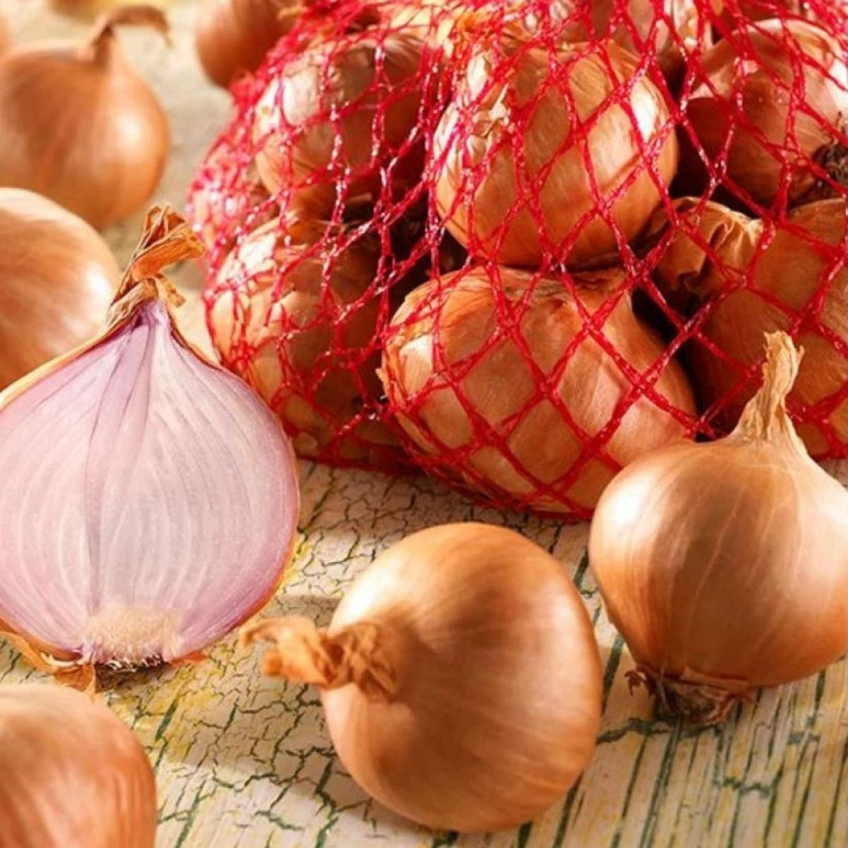 Cibule šalotka Red Sun - Allium Cepa - prodej cibulek - 250 g