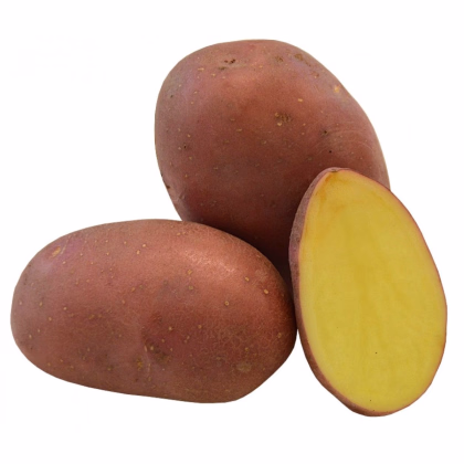Sadbové brambory Red Anna - Solanum tuberosum - červené polorané - 5 kg