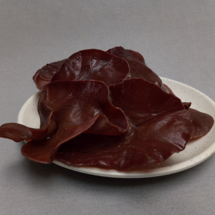 Sadba Ucho Jidášovo - Auricularia auricula-judae - sadba - prodej -1 ks