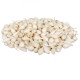 Cibule sazečka Snowball - Allium cepa - prodej cibulek - 250 g