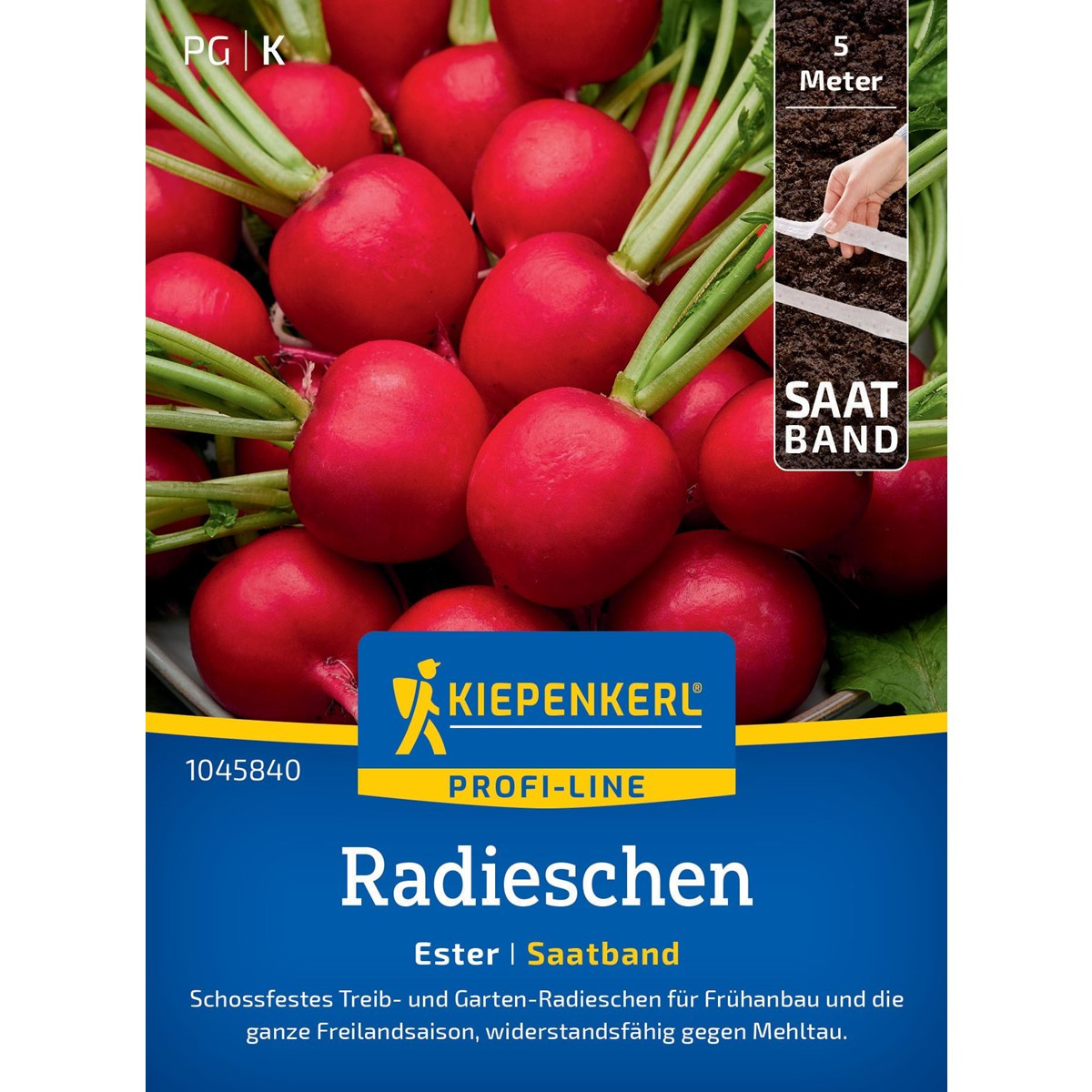Semena ředkvičky Ester F1 - prodej výsevních pásků - 5 m