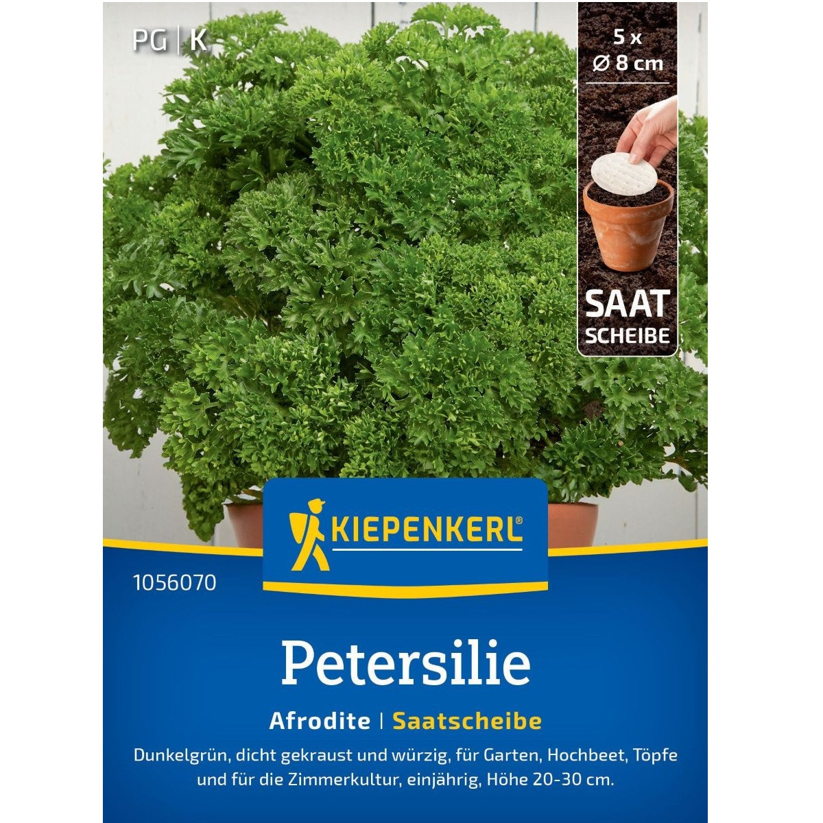 Semena petržele kadeřavé Afrodite - prodej výsevních disků - 5 ks