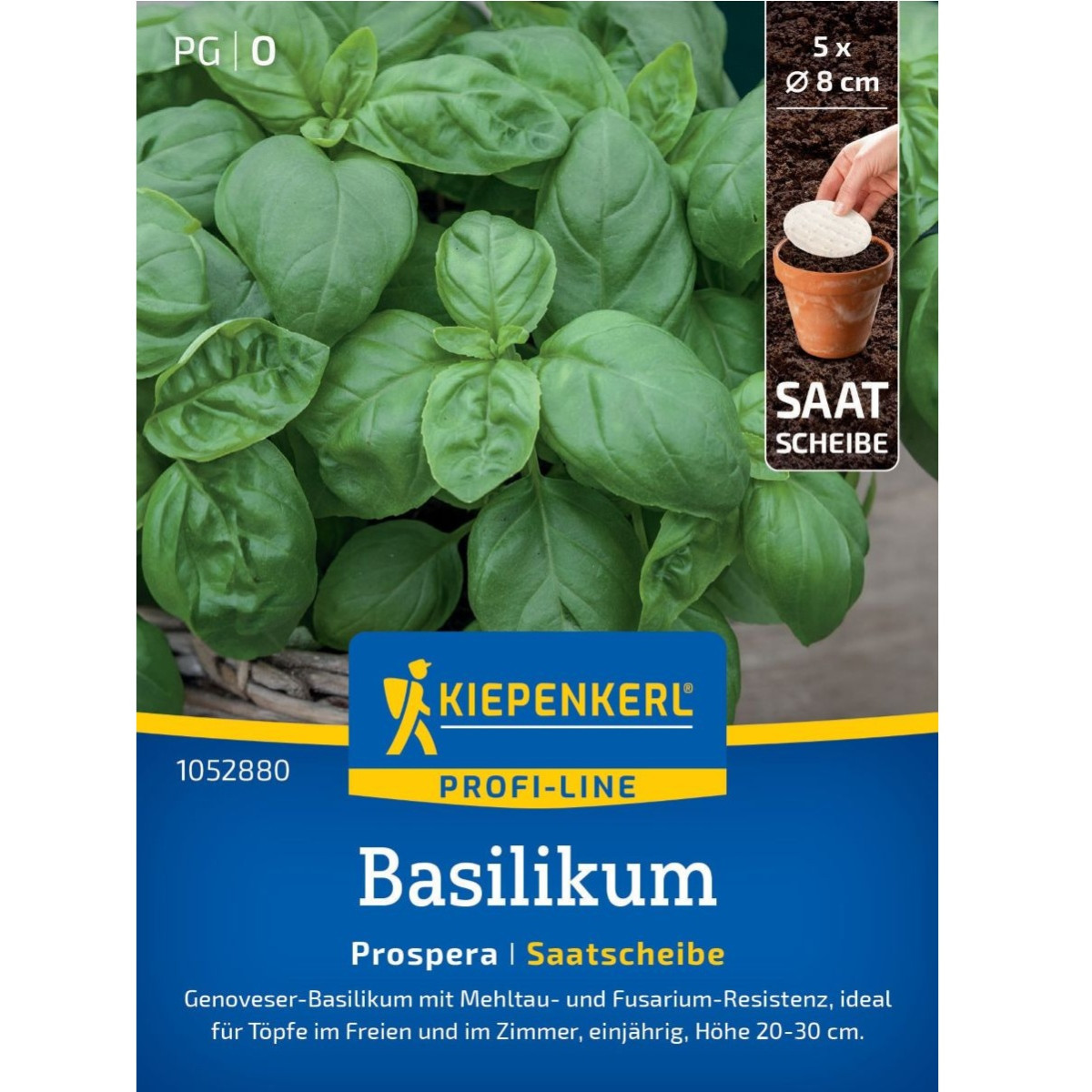 Semena bazalky Prospera - prodej výsevních disků - 5 ks