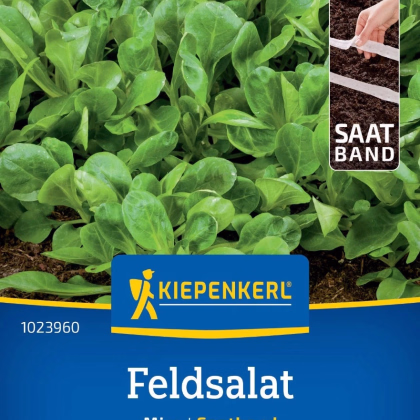 Salát Miro - prodej výsevních pásků - 1 ks