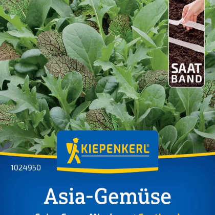 Mix asijských salátů - prodej výsevních pásků - 1 ks