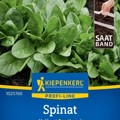 Špenát Helios - prodej výsevních pásků - 1 ks