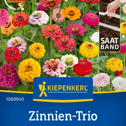 Ostálka trio Bumblebee, Oklahoma a Liliput - prodej výsevních pásků - 1 ks