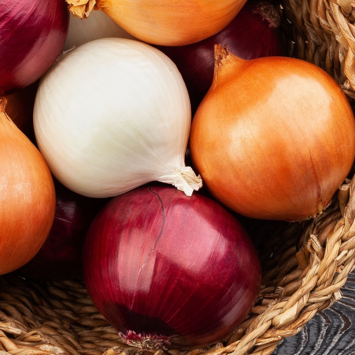 Semena cibule trio Hylander, Romy a Honeymoon - prodej výsevních pásků - 1 ks