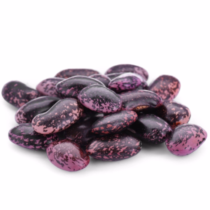 Fazole šarlatová Lady di - Phaseolus coccineus - prodej semen - 10 ks