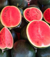 BIO Meloun vodní Sugar baby - Citrullus lanatus - prodej bio semen - 6 ks