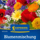 Květinová směs - Rozkvetlá přírodní louka - prodej semen - 1 ks