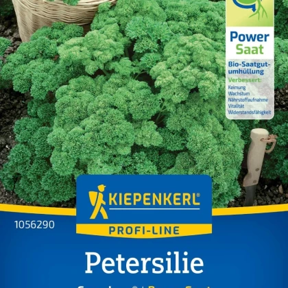Petržel Grandeur - PowerSaat - Petroselinum crispum - Kiepenkerl - prodej semen - 1 ks