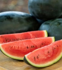 Meloun vodní Little Darling F1 - Citrullus lanatus - prodej semen - 5 ks