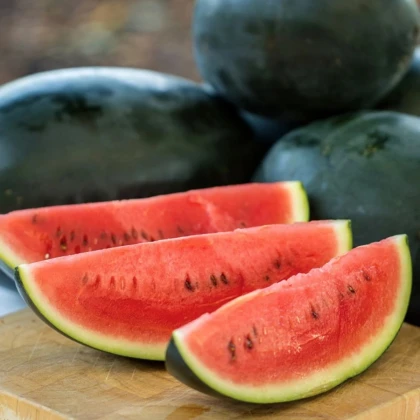 Meloun vodní Little Darling F1 - Citrullus lanatus - prodej semen - 5 ks