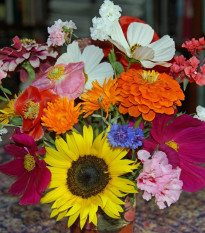 Pestrá kytice - letničková směs - prodej semen - 20 g