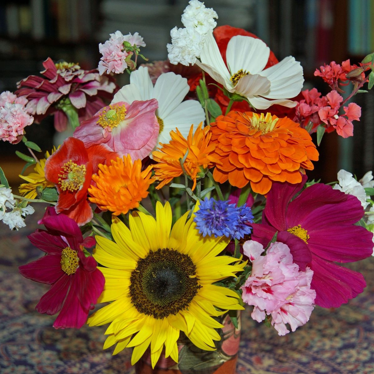 Pestrá kytice - letničková směs - prodej semen - 20 g