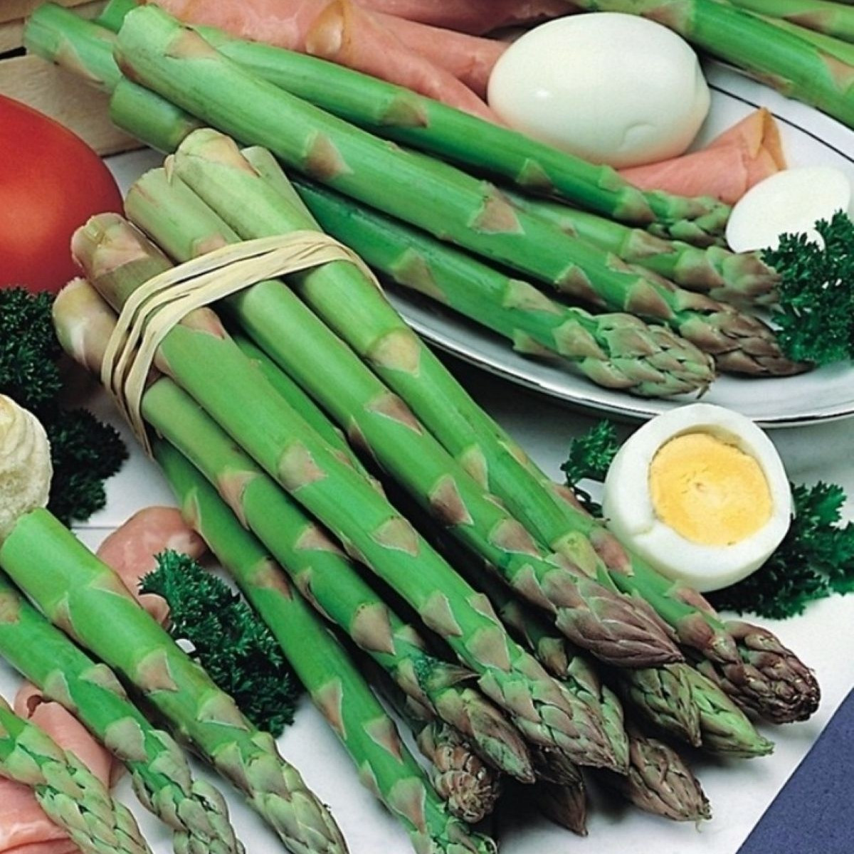 Chřest Gijnlim - Asparagus officinalis - prodej prostokořenných sazenic - 1 ks