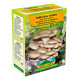 Hlíva ústřičná - Pleurotus ostreatus - sadba - prodej - 250 ml