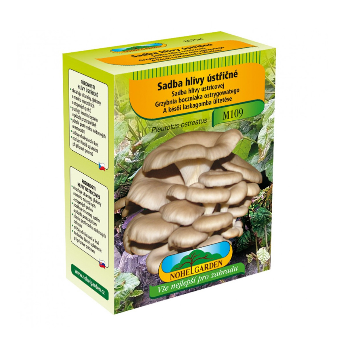 Hlíva ústřičná - Pleurotus ostreatus - sadba - prodej - 250 ml