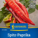 Paprika Thor F1 - Capsicum annuum - prodej semen - 7 ks
