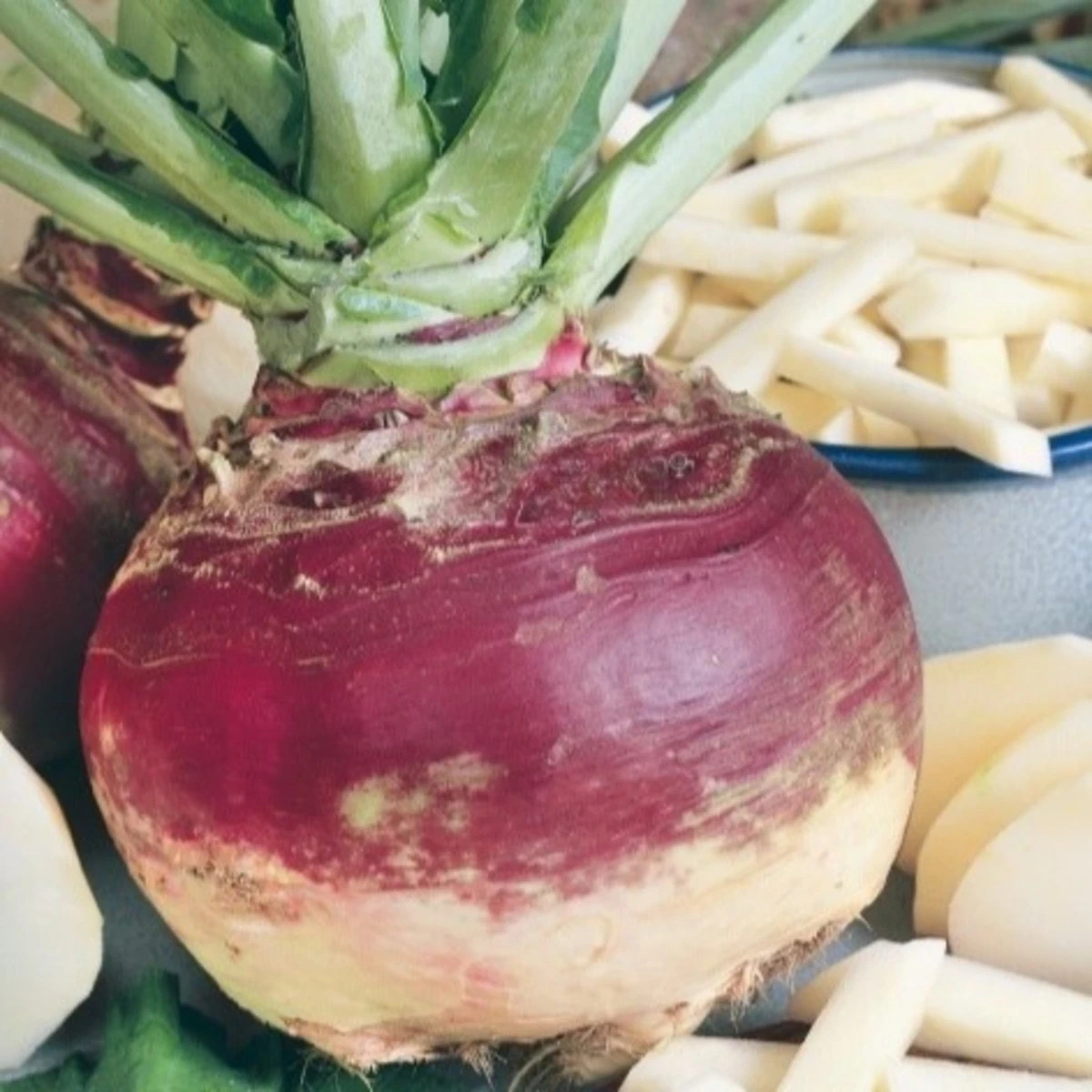 Tuřín Gowrie - Brassica napus var. napobrassica - prodej semen - 200 ks