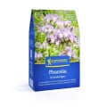 Zelené hnojení - svazenka - prodej semen - 400 g