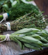 Tři oblíbené bylinky - prodej výsevních pásků - Sperli - 1 ks