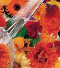 Květinová směs - jedlé květy do salátů - Sperli - prodej semen - 1 ks