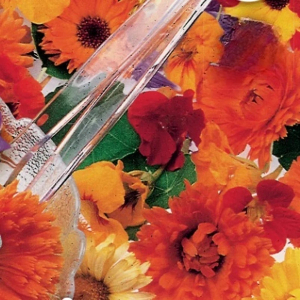 Květinová směs - jedlé květy do salátů - Sperli - prodej semen - 1 ks