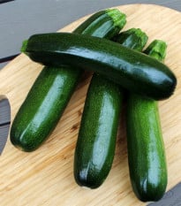 Cuketa Tarmino F1 - Cucurbita pepo - prodej semen - 6 ks