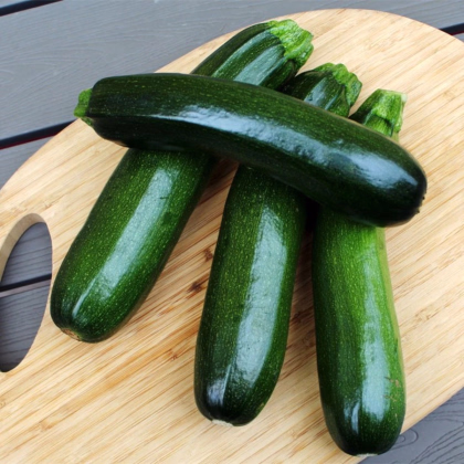 Cuketa Tarmino F1 - Cucurbita pepo - prodej semen - 6 ks