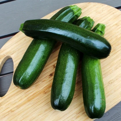 Cuketa Tarmino F1 - Cucurbita pepo - prodej semen - 6 ks