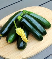 Cuketa Sandokan F1 - Cucurbita pepo - prodej semen - 8 ks