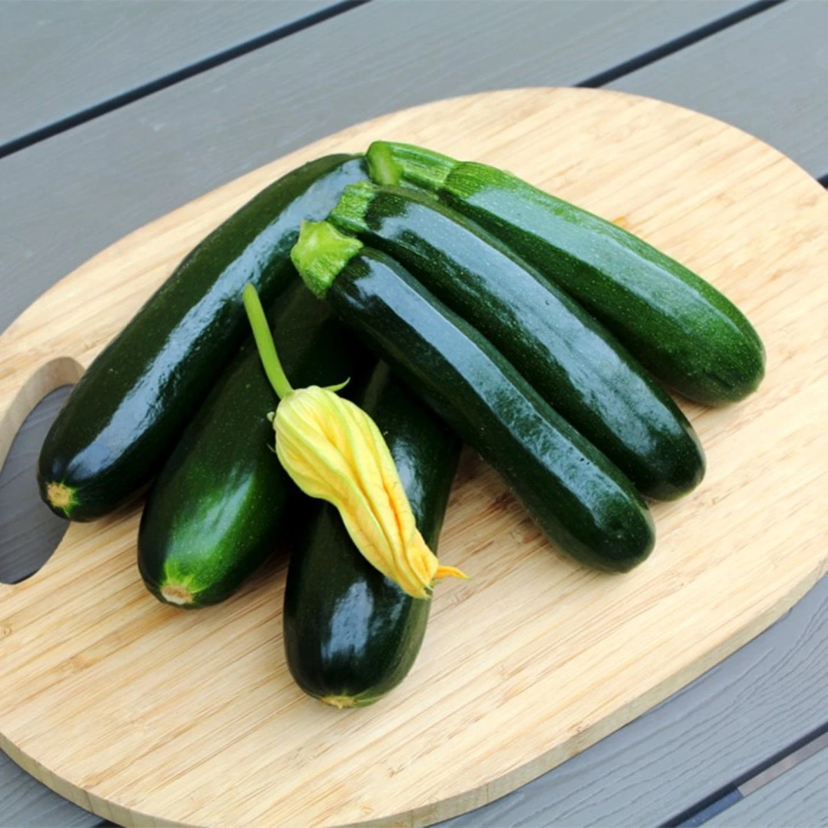 Cuketa Sandokan F1 - Cucurbita pepo - prodej semen - 8 ks