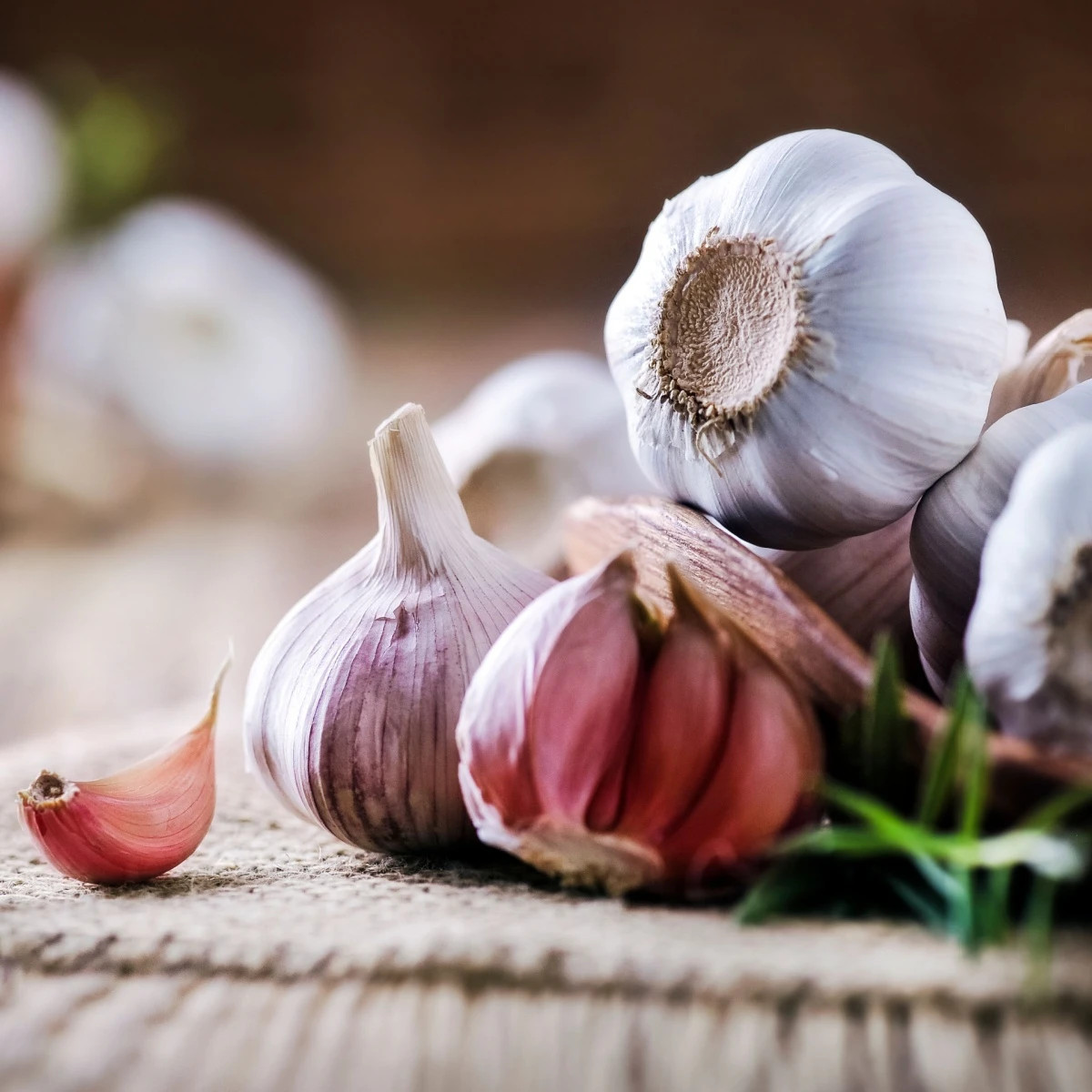 Sadbový česnek Morado de Cuenca - Allium - nepaličák - prodej cibulí česneku - 1 balení