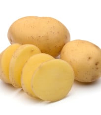 Sadbové brambory Otolia - Solanum tuberosum - 10 ks