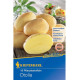 Sadbové brambory Otolia - Solanum tuberosum - 10 ks
