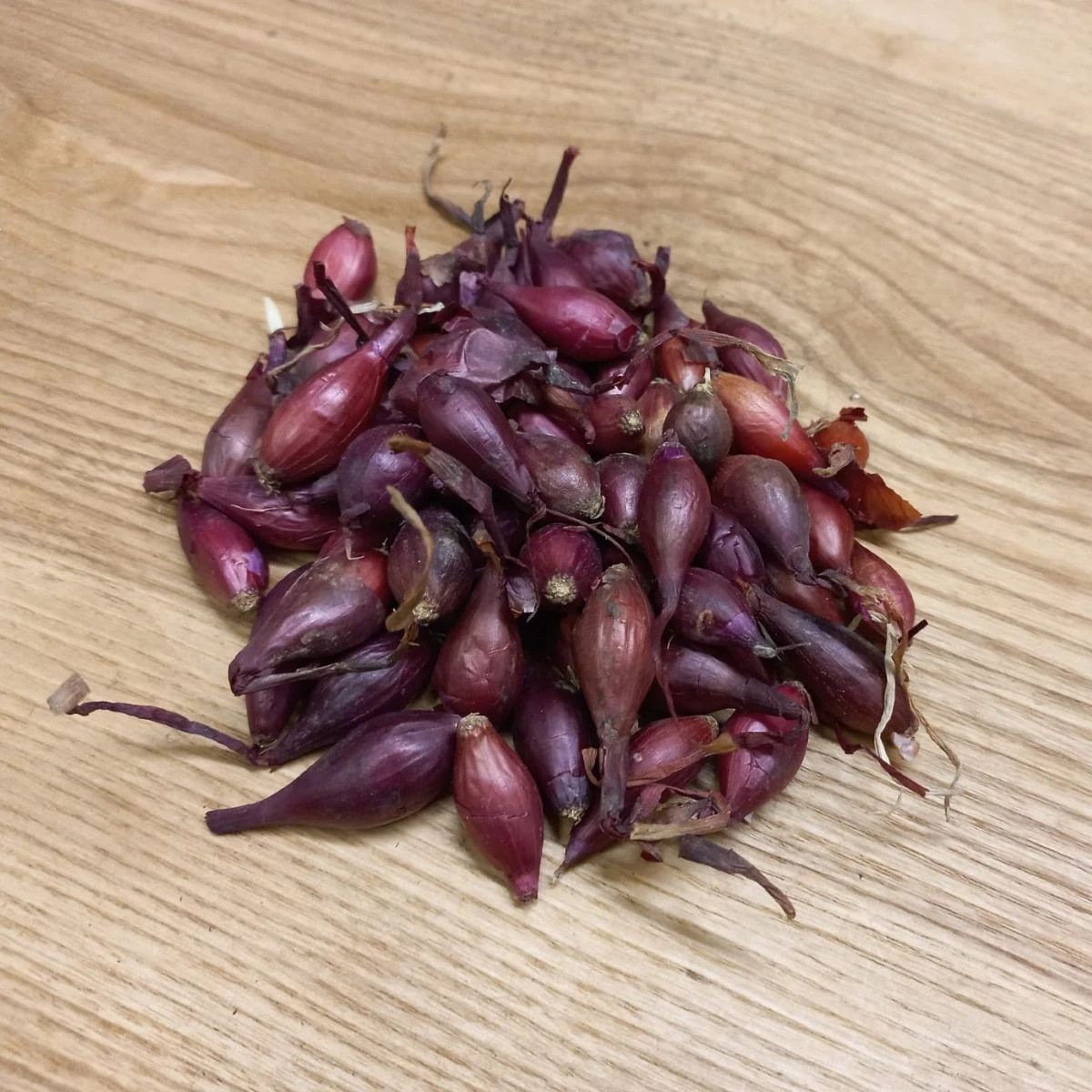 Cibule sazečka Piroska - Allium cepa - prodej cibulek - 250 g