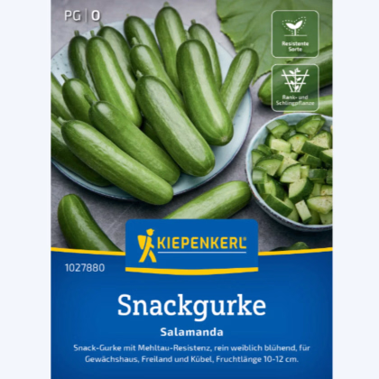 Okurka salátová Salamanda F1 - Cucumis sativus - prodej semen - 6 ks