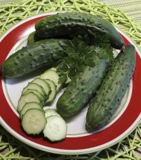 Okurka Patio Snacker F1 - vhodné pro balkóny - Cucumis sativus - prodej semen - 8 ks