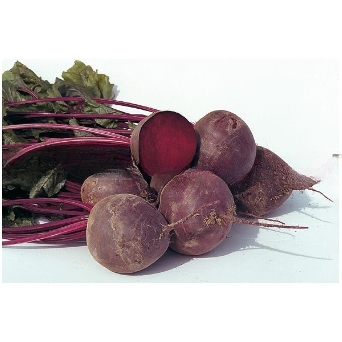 BIO Červená řepa Boro F1 - Beta vulgaris - prodej bio semen - 50 ks