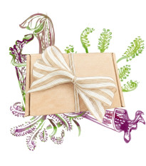 Dárkový set pro pěstitele masožravých rostlin - balíček semínek