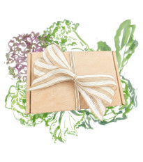 Dárkový set pro pěstitele listové zeleniny - balíček semínek