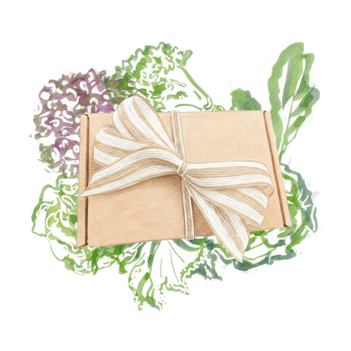 Dárkový set pro pěstitele listové zeleniny - balíček semínek