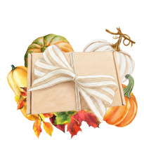 Dárkový set pro pěstitele dýní - balíček semínek