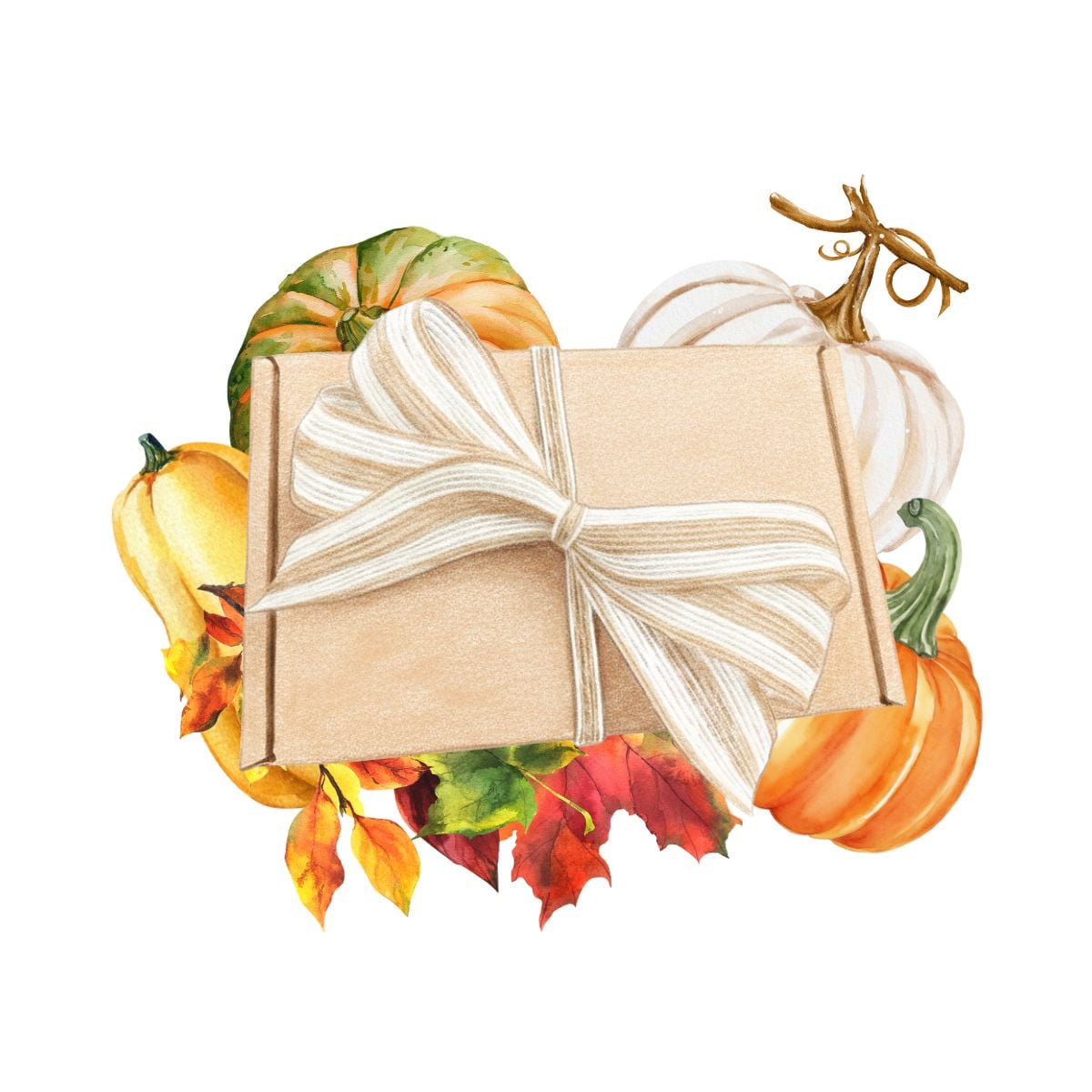 Dárkový set pro pěstitele dýní - balíček semínek