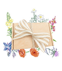 Dárkový set jedlých květů - balíček semínek