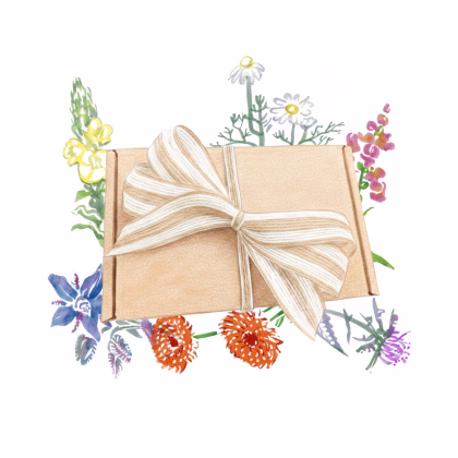 Dárkový set jedlých květů - balíček semínek