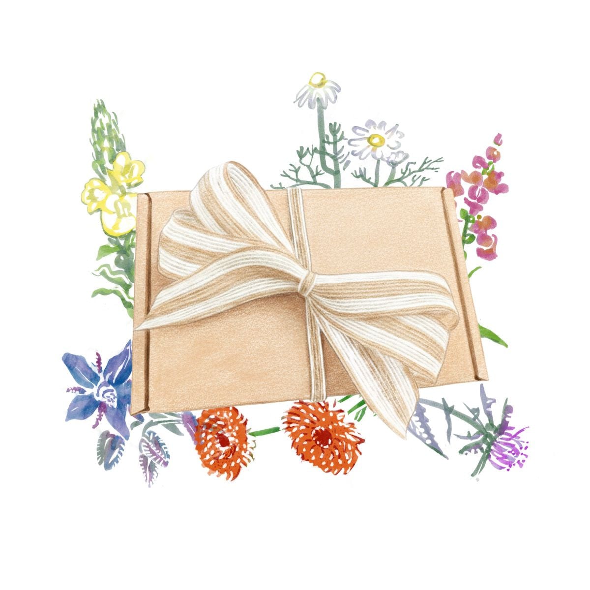 Dárkový set jedlých květů - balíček semínek